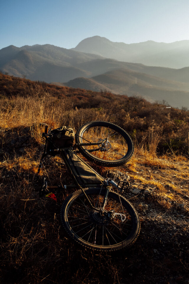 Teravail 29 x 2.8 Review