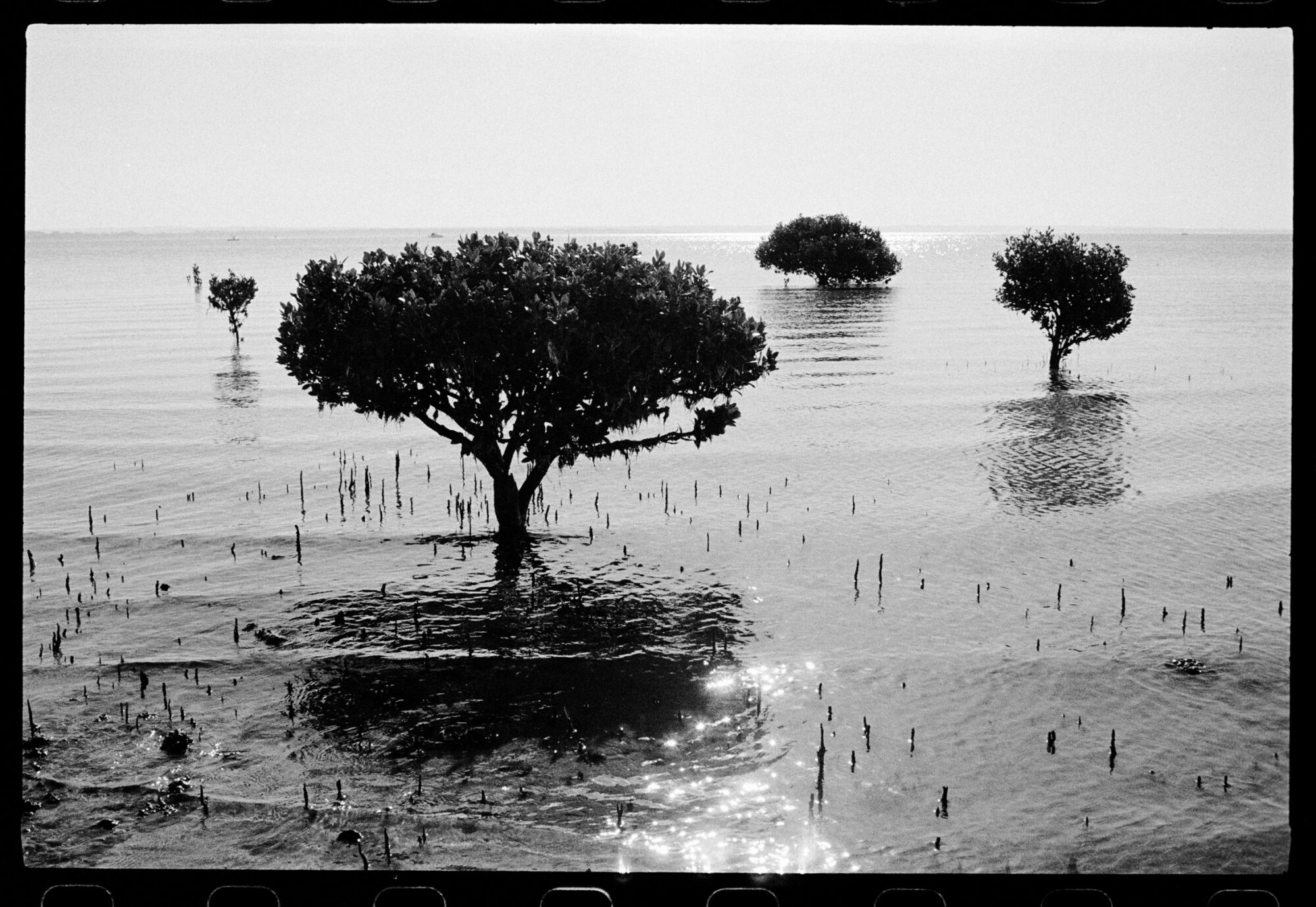 Bikepacking Bellamarin, Mystery Island