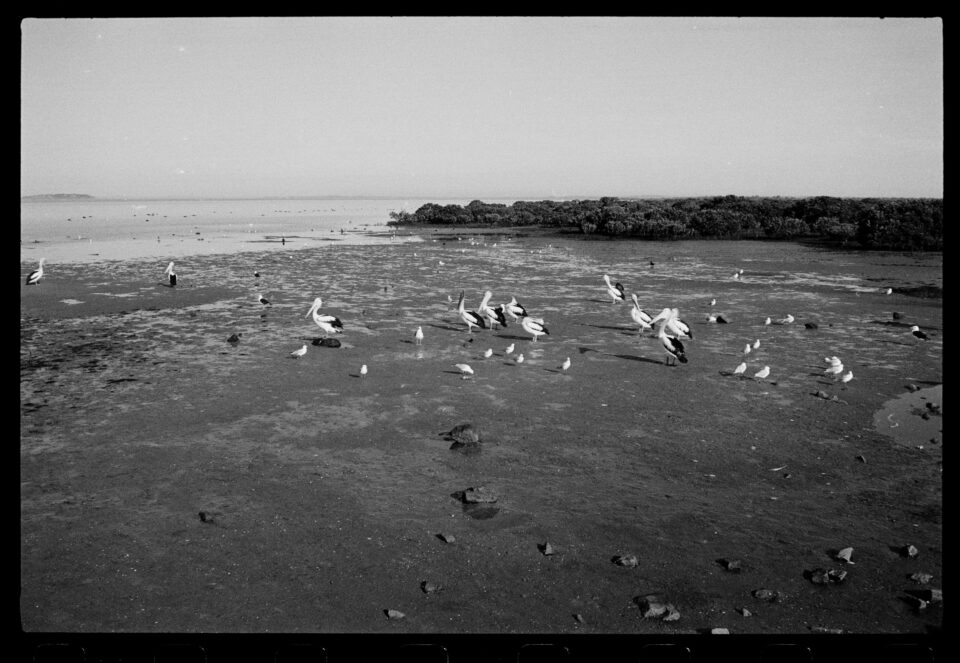 Bikepacking Bellamarin, Mystery Island