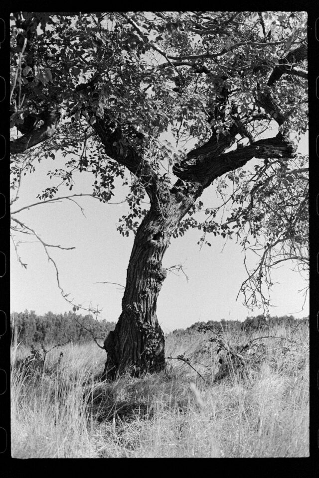 Bikepacking Bellamarin, Mystery Island
