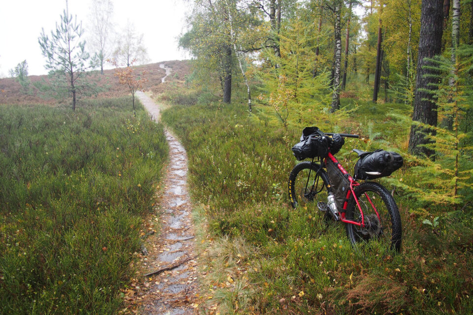 From Hamburg to Heath and Hills