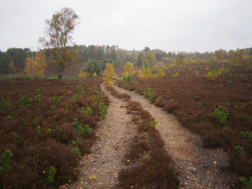 From Hamburg to Heath and Hills Bikepacking Overnighter