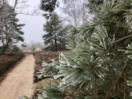 From Hamburg to Heath and Hills Bikepacking Overnighter