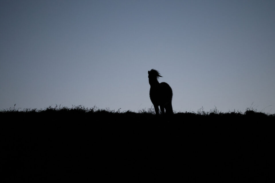 further lostways 2026