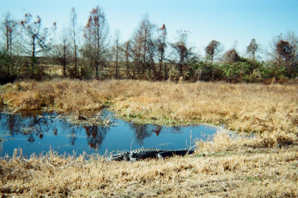 Great Redemption on the Huracan