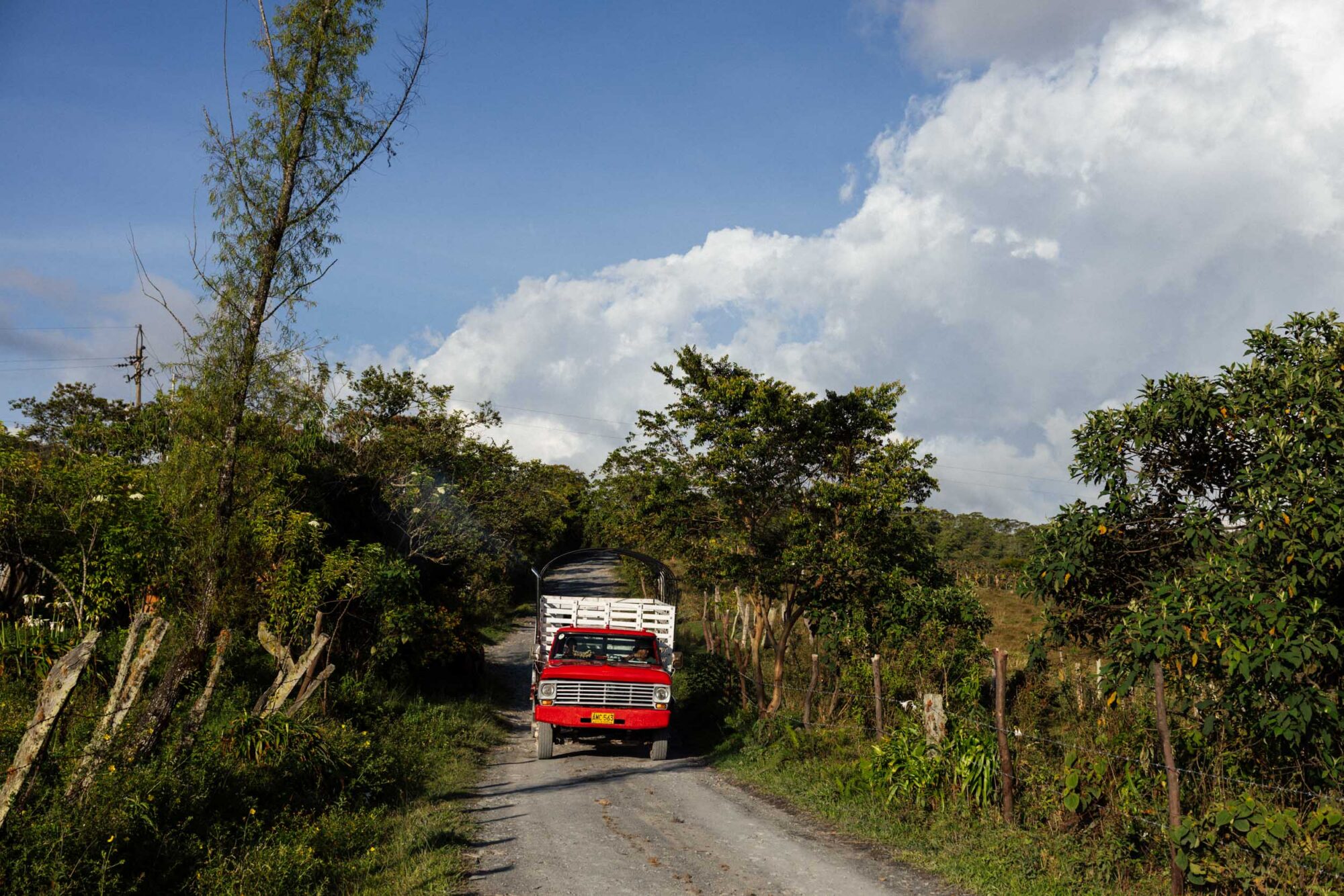 bikepacking colombia paramos cass gilbert