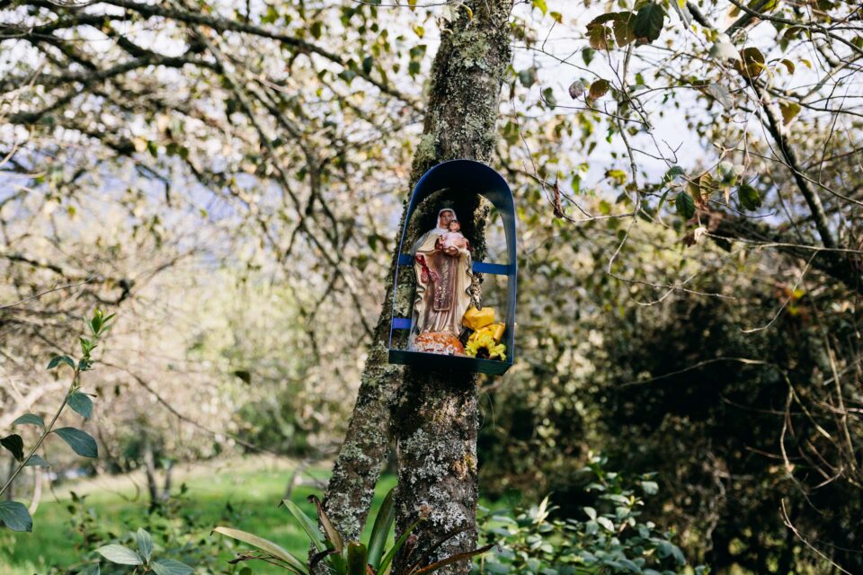 bikepacking colombia paramos cass gilbert