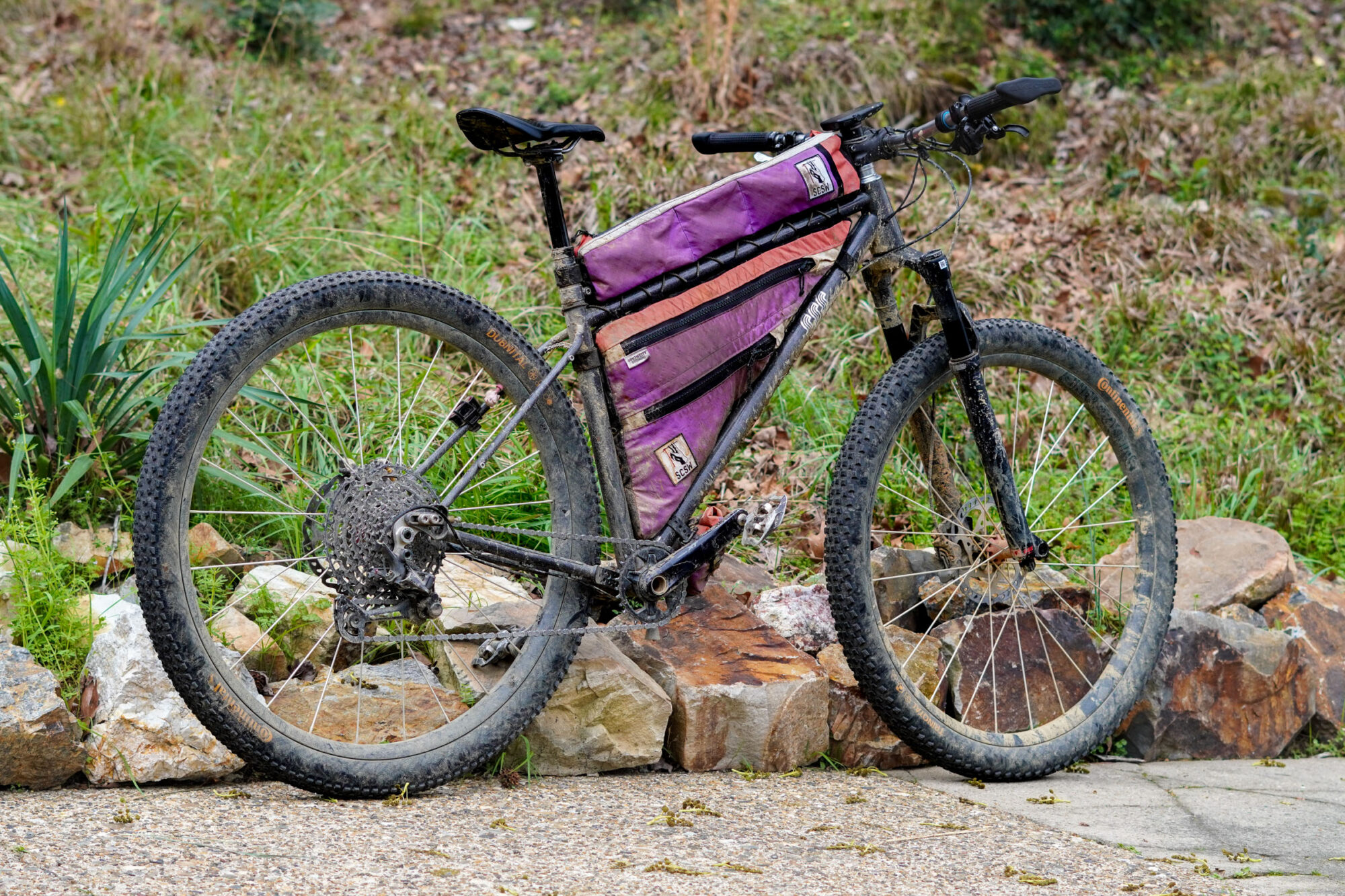 Natalie Peet 2026 doom win