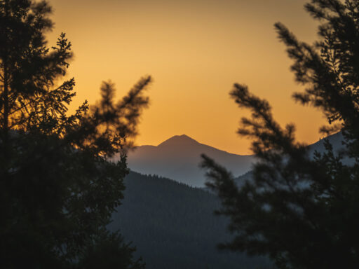 The Southern Cabinets Halfway to Happy