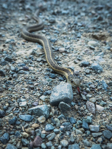 The Southern Cabinets Halfway to Happy