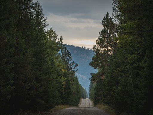 The Southern Cabinets Halfway to Happy