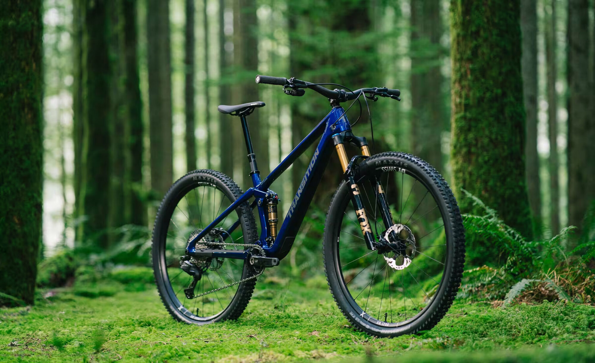 Transition Spur v2