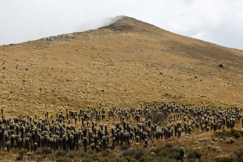 Oh Boyaca bikepacking story, Cass Gilbert