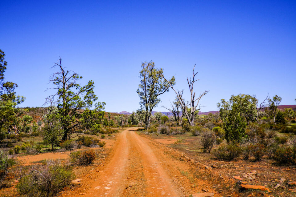 Ikara Outback bikepacking route