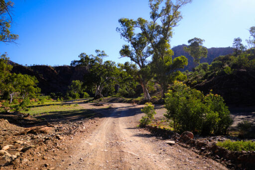 Ikara Outback bikepacking route