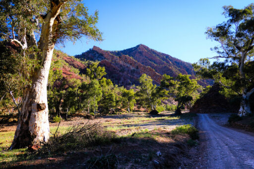Ikara Outback bikepacking route