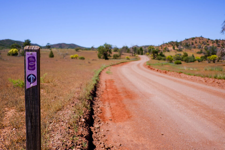 Ikara Outback bikepacking route