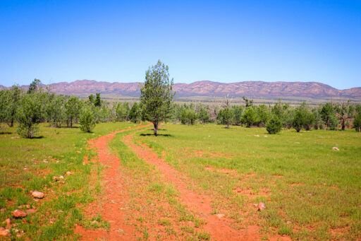 Ikara Outback bikepacking route