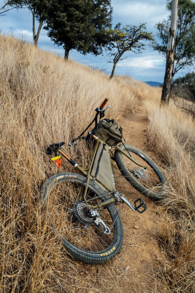 Madrone Jab Review