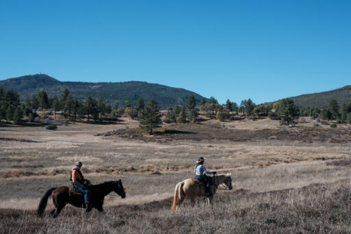 San Diego High Country Overnighter