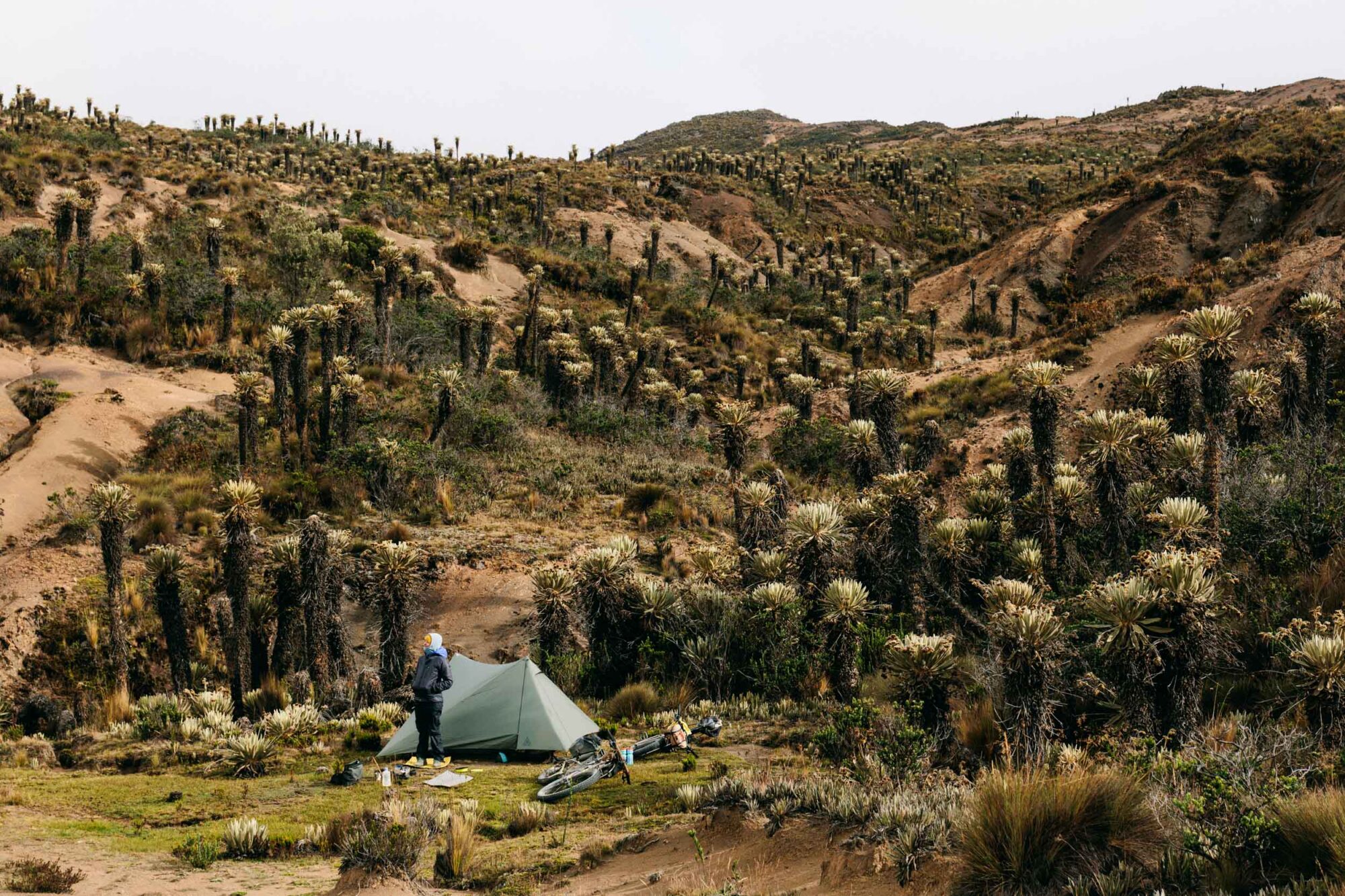 Oh Boyaca bikepacking story, Cass Gilbert