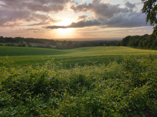 London Escape to Surrey Hills