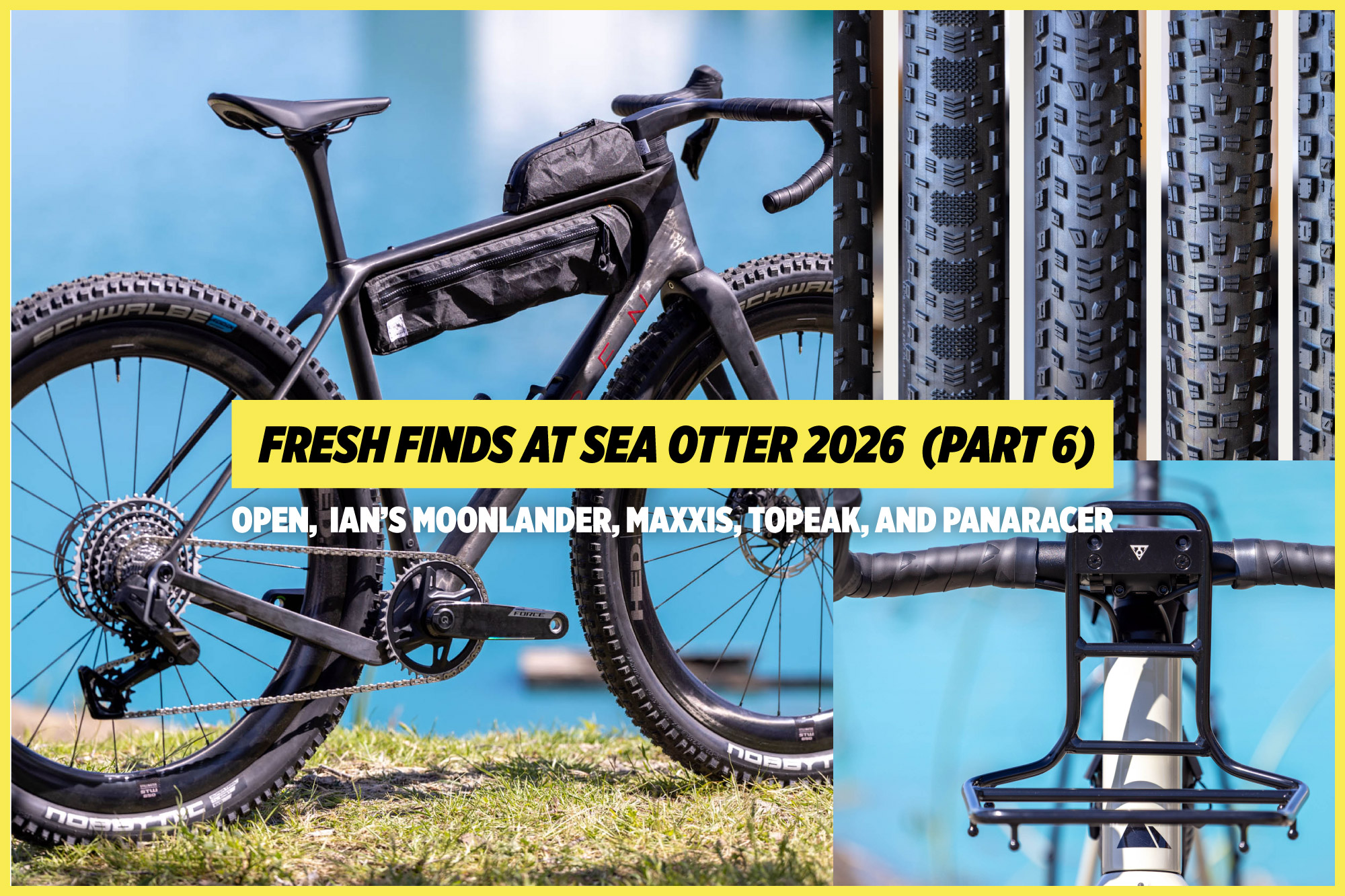 sea otter 2026 part 6 video