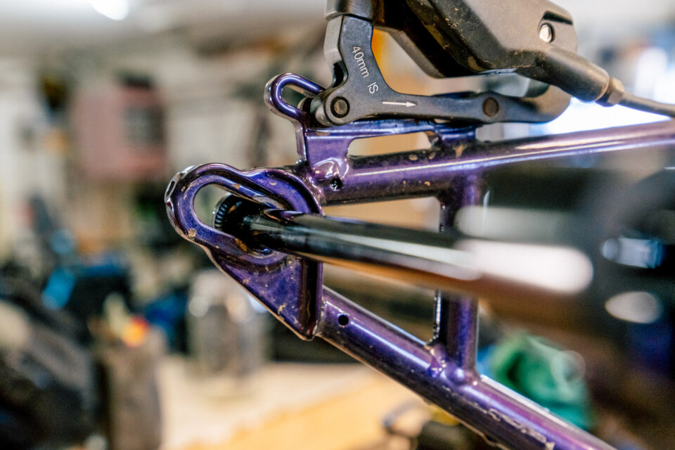 Surly Sorceress Review