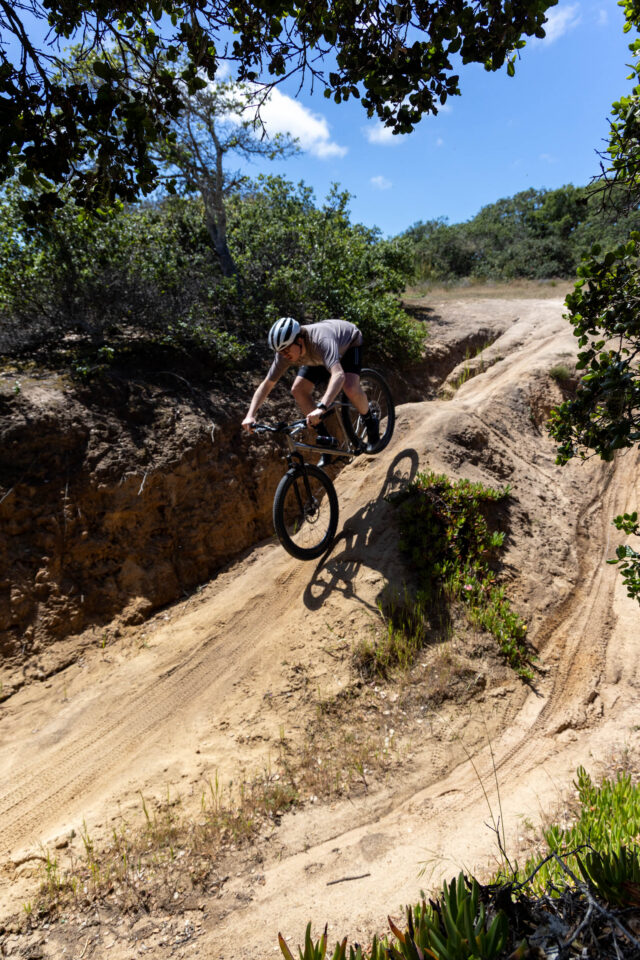 Tanner Forbidden Puritan