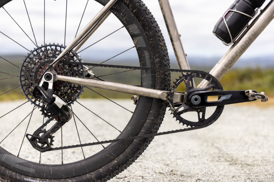 Tanner Forbidden Puritan