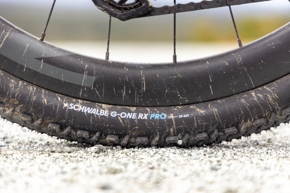 Tanner Forbidden Puritan