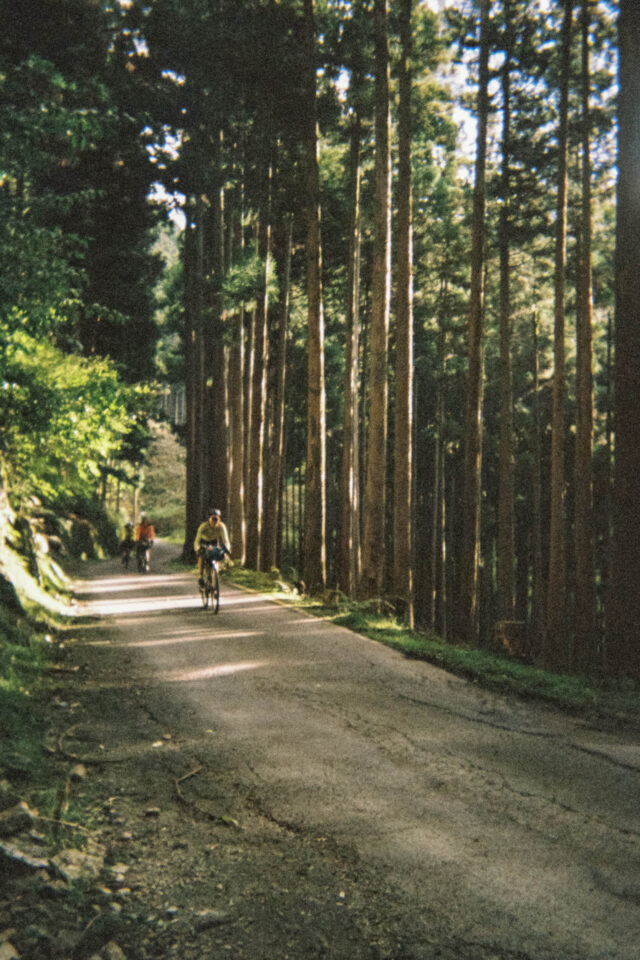 2025 Japanese Odyssey