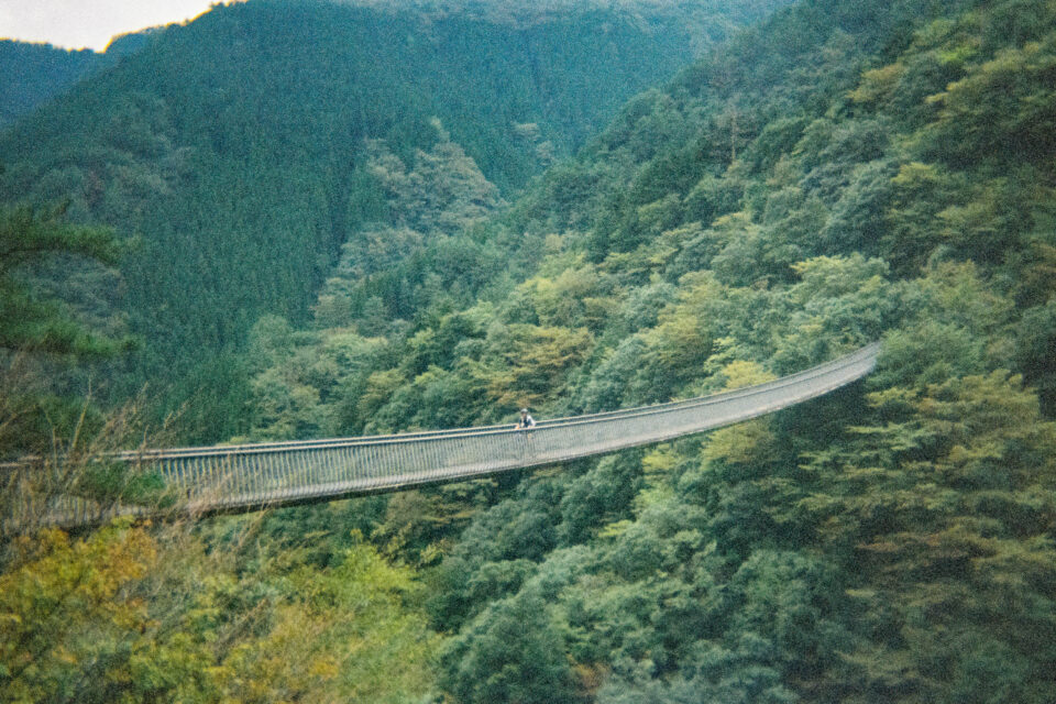 2025 Japanese Odyssey