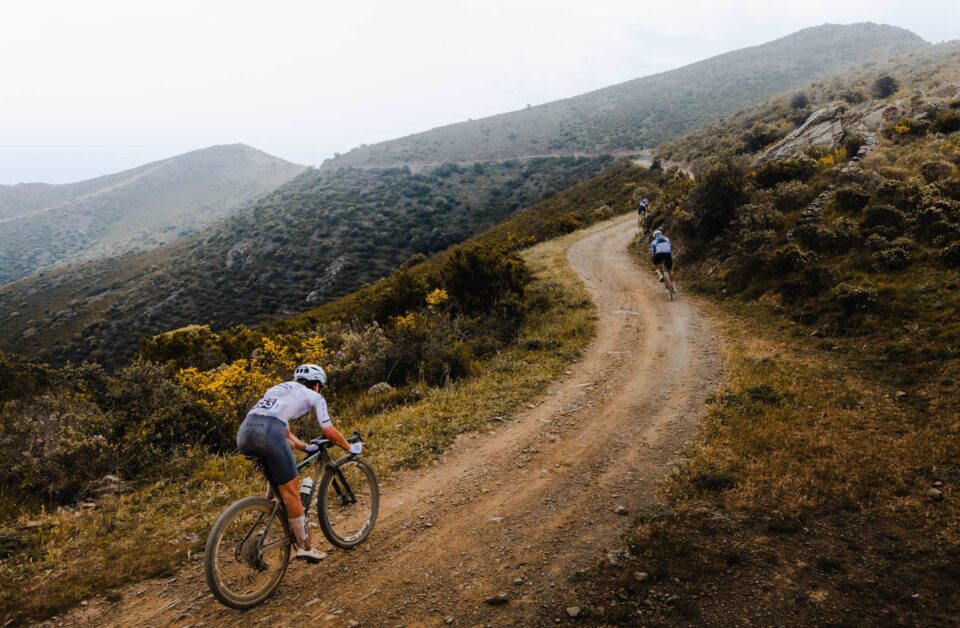 2026 Canyon Grizl AL