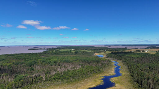 Abitibi‑Temiscamingue Odyssey