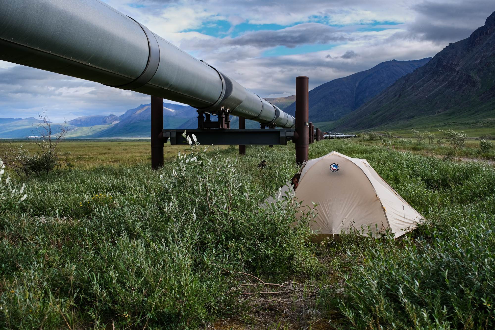 Cycling Alaska with a Stranger (Video)