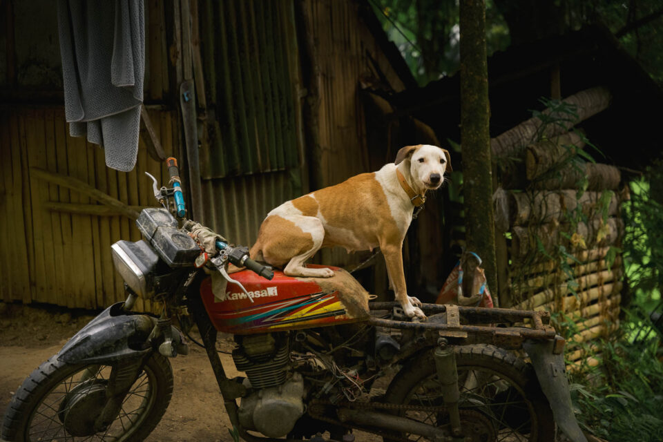 Bikepacking the Philippines