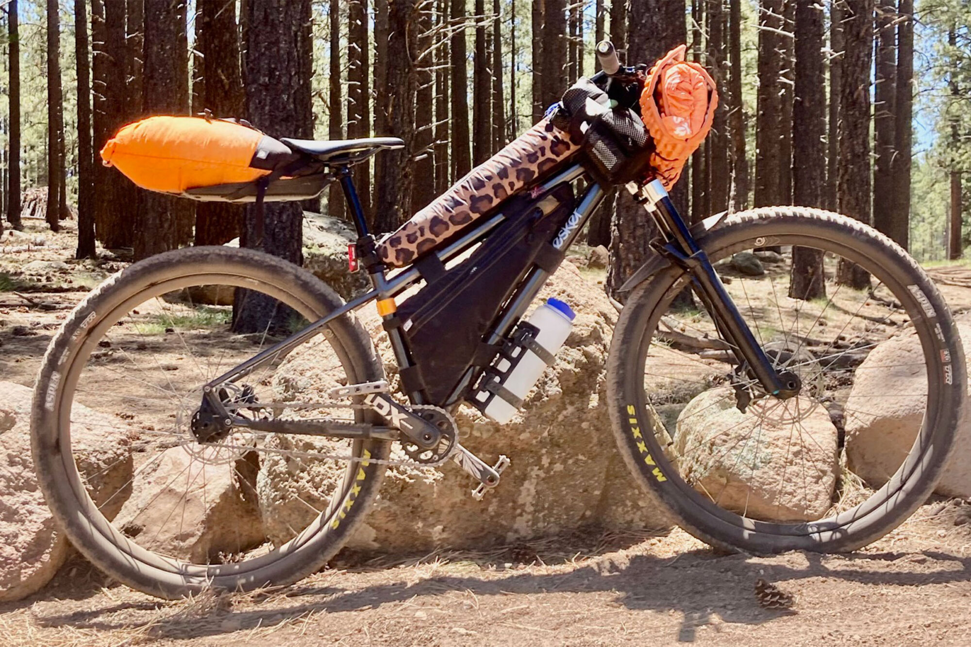 2026 pinyons and pines rigs