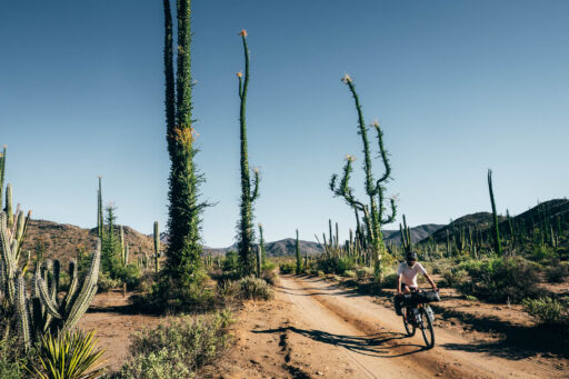 Baja Divide