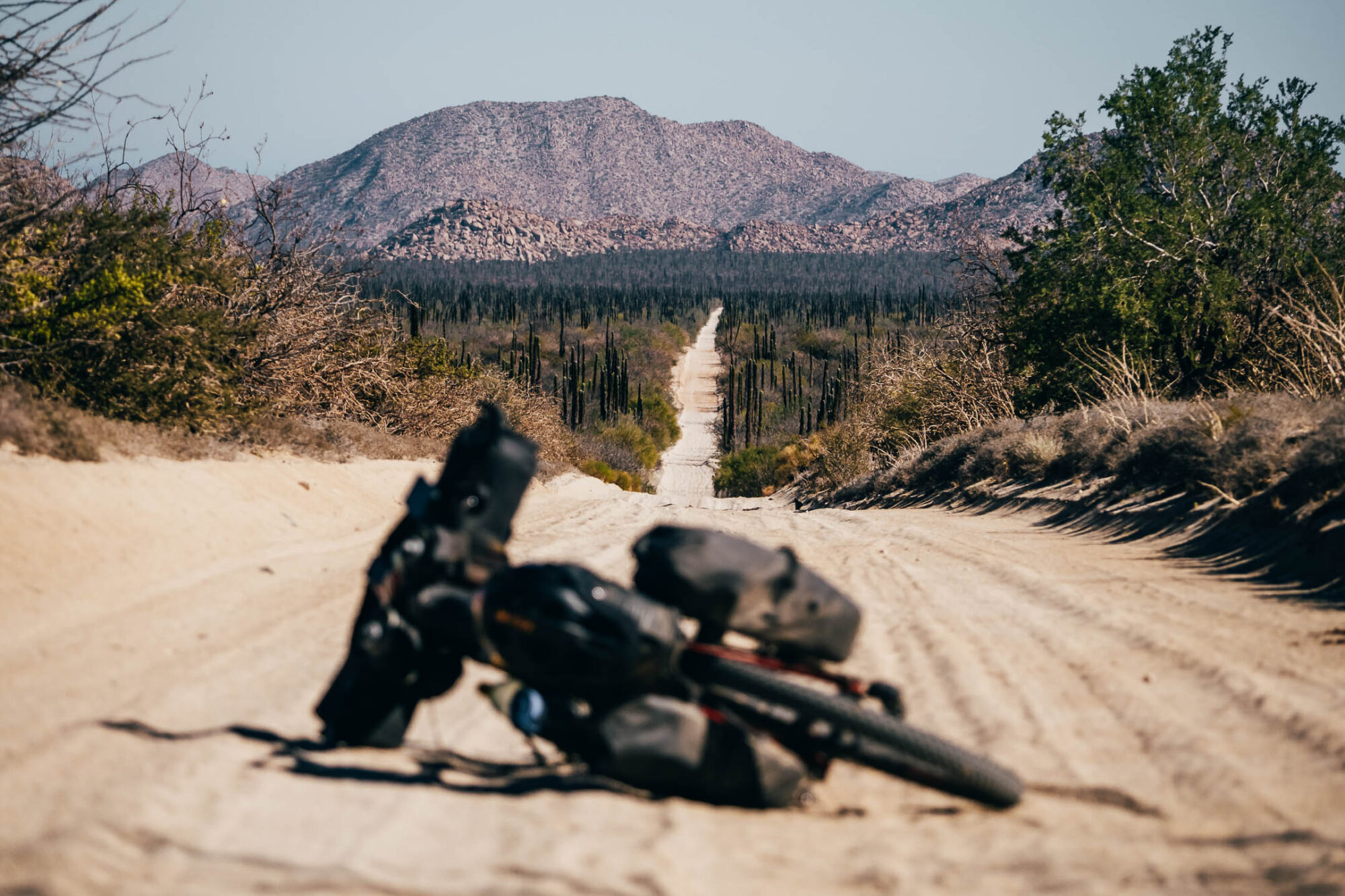 Baja Divide