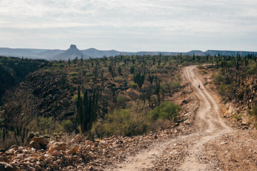 Baja Divide