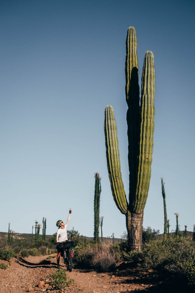Baja Divide