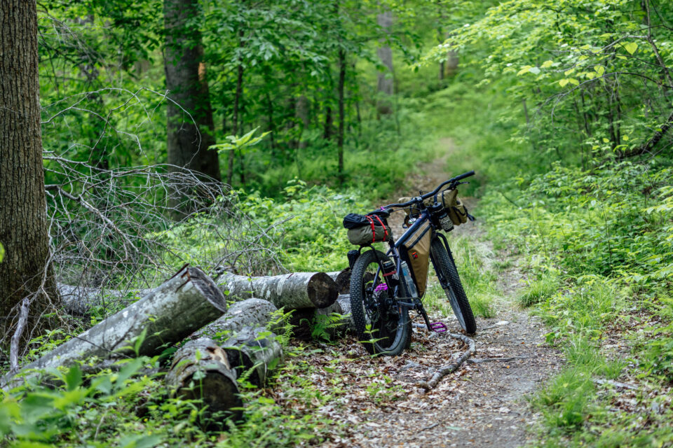 Tailfin Journey Rack Review
