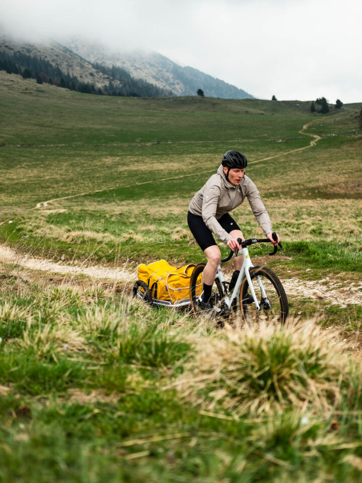 Veolo Bike Trailer 2.0
