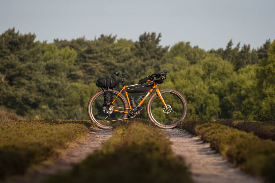 Weekend Snapshot