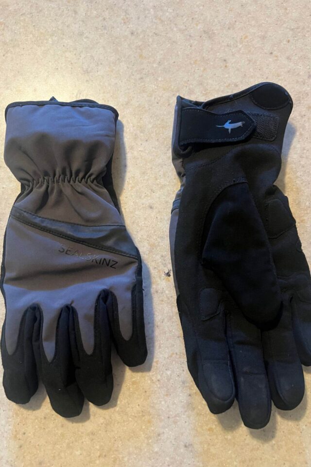 Bike Camp Co-op Finds (May 12, 2026)