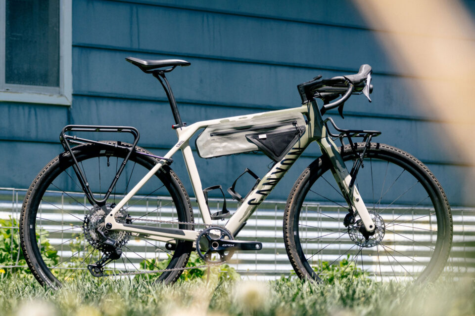 Canyon grizl