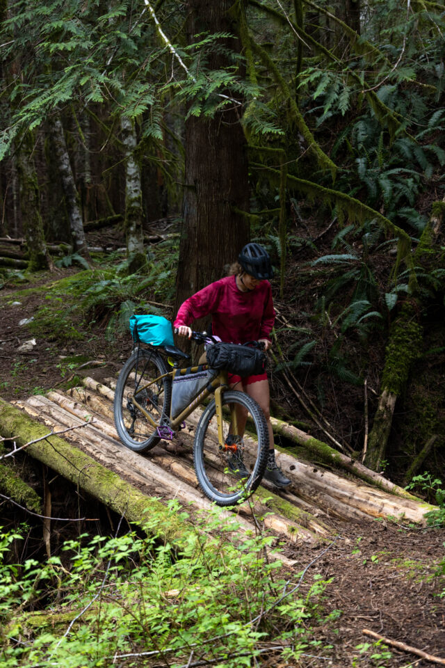rogue panda picketpost rack top bag review