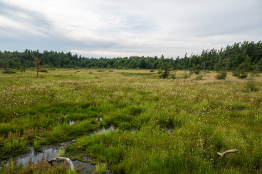 The Steel Triangle bikepacking route