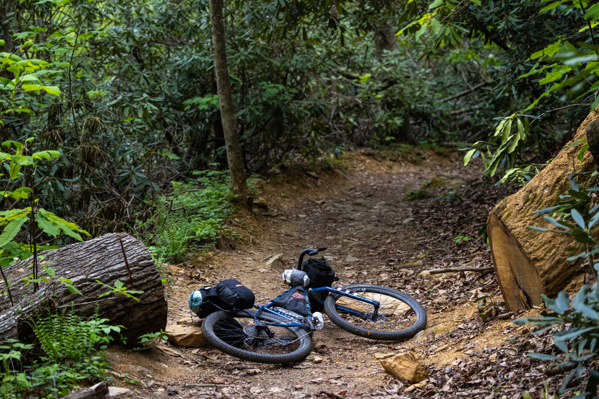 Velo Orange There and Back Rack Review
